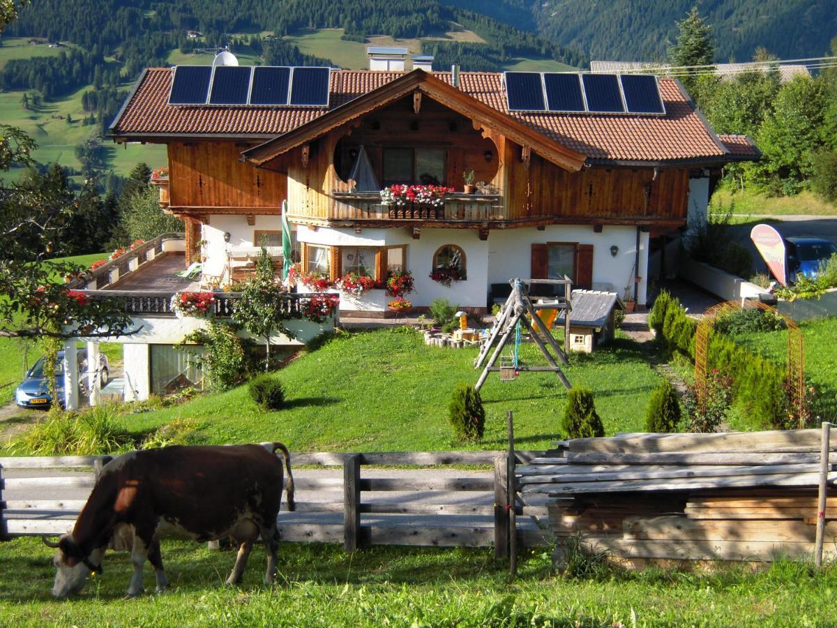 Haus Patricia Apartment